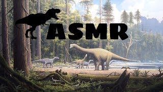 ASMR  Dinosaurs 🦖🦕 [upl. by Godber]