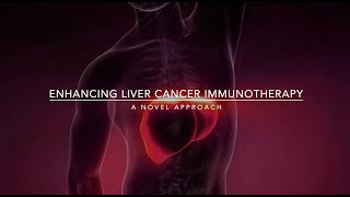 Liver Cancer How Tackling a Protein Could Boost Immunotherapy Success [upl. by Eniamsaj]