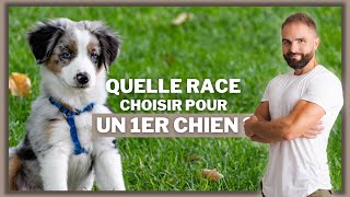 Quelle race choisir pour un 1er chien [upl. by Clementine749]