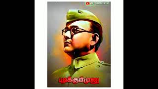 🔥Nethaji  Subash Sandra Boss  Mass whatsapp status in Tamil🔰💥 [upl. by Guidotti554]