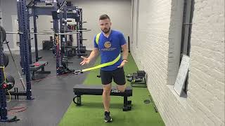 Decrease Low Back Pain for Golf  Strapped Back Sling RFE Split Squat [upl. by Cartan200]