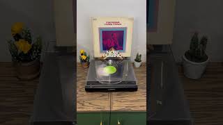 Patricia  Perez Prado records recordcollection vinylrecords vinylcollection vinyl music [upl. by Nosnevets]