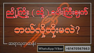 ညို့ကြိုး  သို့  စပါးကြီးချက် ဘယ်လိုထိုးမလဲ [upl. by Gaillard]