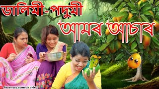 Dalimi podumir Aamr Asar  Assamese comedy video  Assamese funny video [upl. by Riamo]