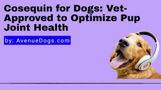 Cosequin for Dogs VetApproved to Optimize Pup Joint Health [upl. by Eb]