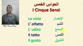 I cinque sensi الحواس الخمس في اللغة الإيطالية [upl. by Anonyw]