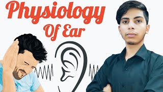 How Your Ear ACTUALLY Works Anatomy amp Function of the Ear [upl. by Vinn]