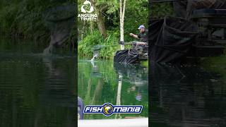 FishOMania 2024 Weston Pools matchfishing carp fishing outdoors [upl. by Einnaf]