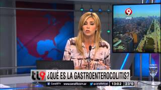 ¿Qué es la gastroenterocolitis [upl. by Henden]