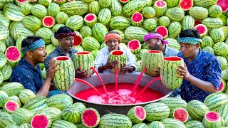 WATERMELON JUICE  Farm Fresh Fruit Juice Making  Watermelon Craft  Watermelon Experiment [upl. by Naesal]