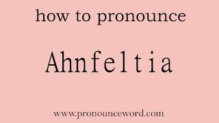 Ahnfeltia How to pronounce Ahnfeltia in english correctStart with A Learn from me [upl. by Relda]