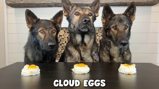 3 German Shepherds Review Foods [upl. by Phylys548]