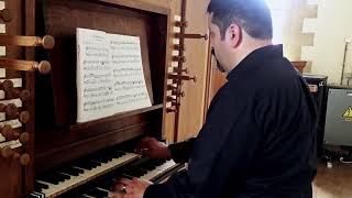 Recit de Tierce Francois Couperins Mass for the Convents Felipe Dominguez organ [upl. by Eiramnerual654]