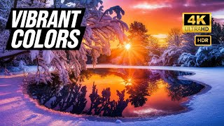 Ultimate Vibrant Colors Showcase in 4K HDR Dolby Vision [upl. by Anabella]