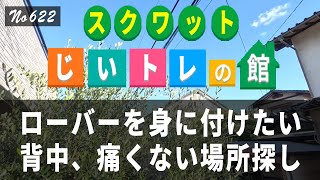 SQ、ローバーを身に付けたい、背中、痛くない場所探し [upl. by Questa]