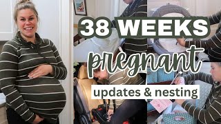 38 WEEKS PREGNANT UPDATES  NESTING amp GETTING READY FOR BABY [upl. by Ylehsa95]