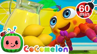 Itsy Bitsy Spider  CoComelon JJs Animal Time Nursery Rhymes amp Kids Songs  Love from Moonbug [upl. by Boles182]