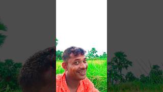 Ata gache Tota Pakhi anarkalifunny comedymove comedyfilms comedyfilms comedymovies cat comed [upl. by Novia]