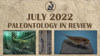 July 2022 Paleontology in Review [upl. by Pheni80]