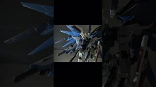 RG 1144 ZGMFX10A FREEDOM GUNDAM gundam gundamseed freedomgundam gunpla toys shorts anime [upl. by Keese]