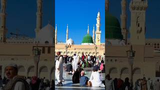 Dekhu main jidhar sirf najar aaye madina naat Sharif status❤️🥰🌹🤍 youtubeshorts youtubeshort [upl. by Alcina455]