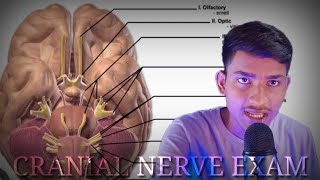 Fastest Cranial Nerve Exam Ever ASMR [upl. by Bithia]