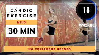 30Minute Mild Cardio Exercises  Aerobic Class  No Equipment Needed [upl. by Nivets]