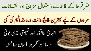 Akarkara ke fayde aur nuksan  Aqar Qarha Health Benefits And Side Effects Pellitory Root Uses urdu [upl. by Arodoet]