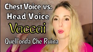 Vaccai Quellonda Che Ruina  Chest Voice vs Head Voice [upl. by Enitsed]