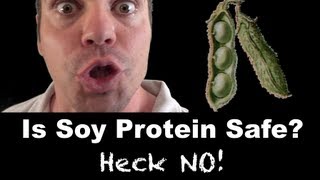 Is SOY Protein Safe For Men  Heck No [upl. by Odnalro833]