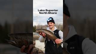 rainbowtrout fishing lakesuperior northshore [upl. by Botzow]