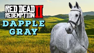 Horse Hunting  Dapple Gray Thoroughbred Best Horses in Red Dead Redemption 2 [upl. by Oler870]