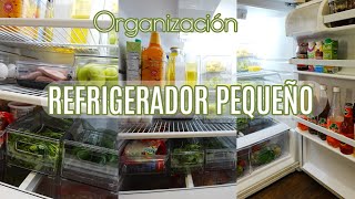 ORGANIZADO MI PEQUEÑO REFRIGERADOR ideas para organizar organization organizacion limpieza [upl. by Amalie]