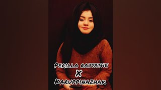 Perilla rajyathe rajakumari × Karuppinazhaku Najiya Ndm  Malayalam Movie Songs  Status songs [upl. by Gwenn]