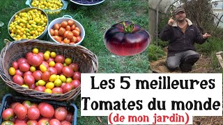 Les 5 Meilleures Tomates du Monde de mon jardin [upl. by Ecnarrot651]