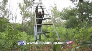 Tree Stand Up  THE LADDER STAND ACCESSORY [upl. by Philis]