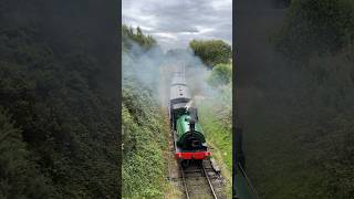 Tanfield Railway [upl. by Naihr966]