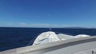 Ep 31 Ammonite Cruising Panama  Alaska Part 1 [upl. by Cantone993]