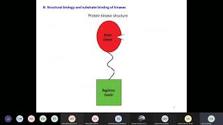 Lecture 8 Kinase Inhibitors sec 1 [upl. by Niles]