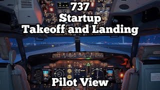 737 Startup Takeoff and Landing  Pilot View [upl. by Ayhtnic662]