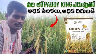 Paddy King Fertilizer  Fertilizers In Paddy  paddy Fertiligers  వరిలో ఎరువులు [upl. by Hein]