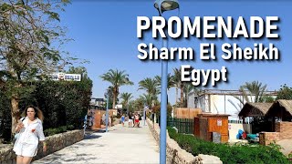 PROMENADE Sharm El Sheikh Egypt Naama bay Part 1 [upl. by Acireh293]