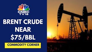 Crude Oil Prices Decline 25 Overnight As OPEC Cuts Global Demand Forecast  CNBC TV18 [upl. by Nueormahc]