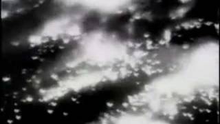 1945 Dresden Bombing Newsreel [upl. by Nossila323]