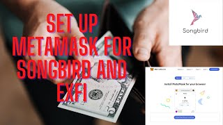 How to set up MetaMask for the Songbird Network How to add Flare Finance ExFi Tokens [upl. by Asin]