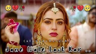 hindi sad song Jane Wale Laut Kar Aaya Kyon Nahi new trending song lofisong bewafa song [upl. by Thera]