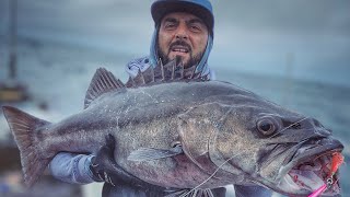 20KG HAPUKA using the Oceans Legacy ELEMENTUS DEEP JIGING ROD  RAW FOOTAGE [upl. by Abel]