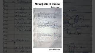 Mouthparts of Insects  Entomology  Types of Mouthparts  MSc zoology [upl. by Gordy481]