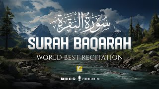 Surah Baqarah Last Two Verse 285 286  AlQuran Urdu Recite  Quran Revealed Modern Science [upl. by Ahsar]