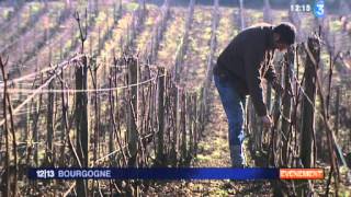 Domaine Ramonet à CHASSAGNEMONTRACHET [upl. by Lougheed]